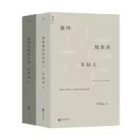 音像那些忧伤的年轻人许知远