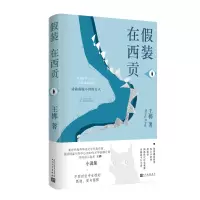 音像装在西贡王梆