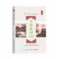 音像辛弃疾词全鉴(典藏版)迟双明