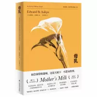 音像母乳(帕特里克·梅尔罗斯五部曲)爱德华·圣奥宾