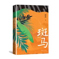 音像斑马傅真