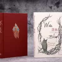 音像慧血(奥康纳文集)[美]弗兰纳里·奥康纳著