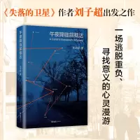 音像午夜降临前抵达刘子超 著