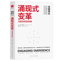 音像涌现式变革:与复杂系统共舞[美]佩吉·霍尔曼 著 王宾 译