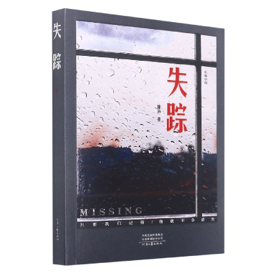 音像失踪廉声