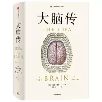 音像大脑传(英)马修·科布