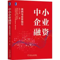 音像中小企业融资:案例与实务指引不详