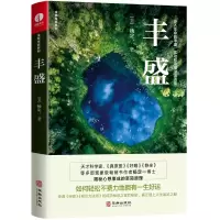 音像杨定一丰盛[美]杨定一