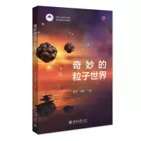 音像奇妙的粒子世界黄涛,曹俊 著