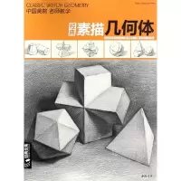 音像经典素描几何体/经典全集系列丛书杨建飞