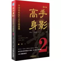 音像高手身影2:中国商业原生态实战案例王明夫,李向群 著