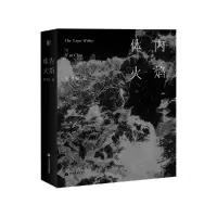 音像体内火焰(精)陈思安 著