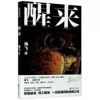 音像醒来海飞