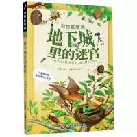 音像地下城里的迷宫(这里是动物建筑师的工作室)/动物直播间张康