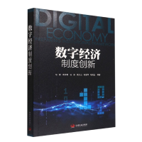音像数字经济制度创新马骏袁东明马源高太山马淑萍马晓白等著