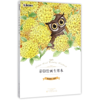 音像彩铅绘画专用本墨点美术