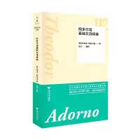 音像阿多尔诺基础文选续编特奥多·阿多尔诺