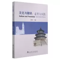 音像文化与翻译--鉴赏与实践(汉文英文)王爱军主编