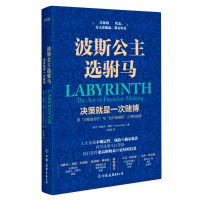 音像波斯公主选驸马(决策就是一次赌博)(精)帕维尔·莫托