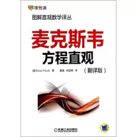 音像麦克斯韦方程直观(翻译版)/图解直观数学译丛Daniel