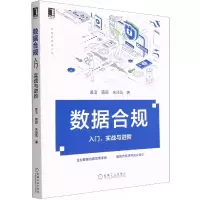 音像数据合规(入门实战与进阶)/大数据管理丛书孟洁,薛颖,朱玲凤