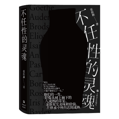 音像不任的灵魂张新颖