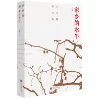 音像家乡的水牛:王吉鹏诗文选王吉鹏