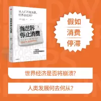 音像当世界停止消费J.B.麦金农