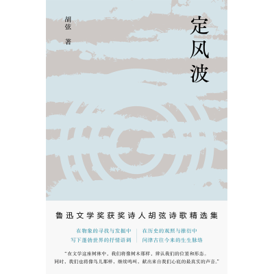 音像定风波胡弦