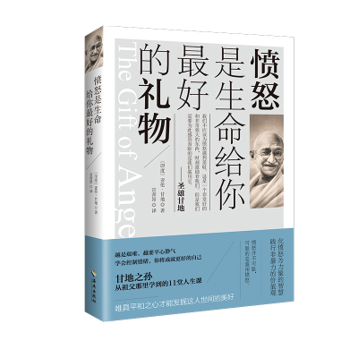 音像愤怒是生命给你的礼物亚伦·甘地