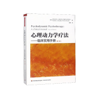 音像心理动力学疗法--临床实用手册(第2版)徐玥