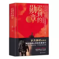 音像迟到的勋章王龙