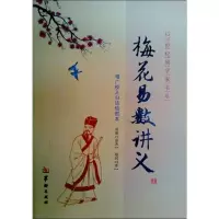 音像梅花易数讲义(增广校正白话绘图本)/21世纪易学家书系邵雍