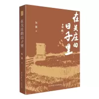 音像在关庄的日子里东篱著