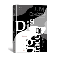音像耻/库切文集[南非]J.M.库切(J.M.Coetzee)著,冯涛 译