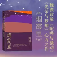 音像烟霞里魏微