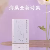 音像我爱这残损的世界(20)海桑