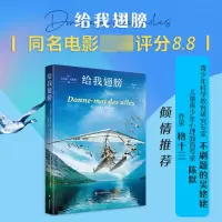音像给我翅膀[法]尼古拉·瓦尼耶著吕如羽译