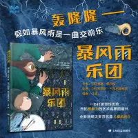 音像暴风雨乐团[法]赛琳·佩尔松著江晨译