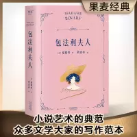 音像包法利夫人福楼拜