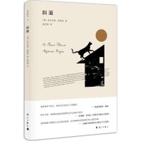 音像斜面(精)阿尔丰索·雷耶斯