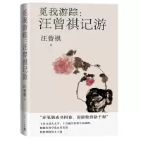 音像觅我游踪:汪曾祺记游汪曾祺