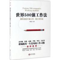 音像世界500强工作法李金水