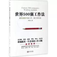 音像世界500强工作法李金水