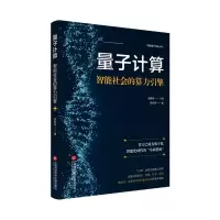 音像量子计算:智能社会的算力引擎(简明量子科技丛书)李宏芳著