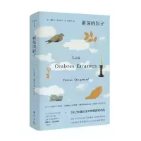 音像游荡的影子(精)帕斯卡·基尼亚尔