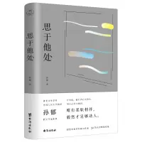 音像思于他处孙郁