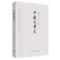 音像中国文学史王梦曾