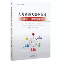 音像人力资源大数据分析--理论技术与实践廉串德,刘佰明等 著