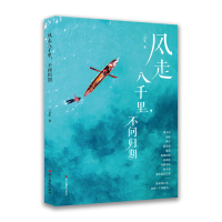 音像风走八千里不问归期三石头